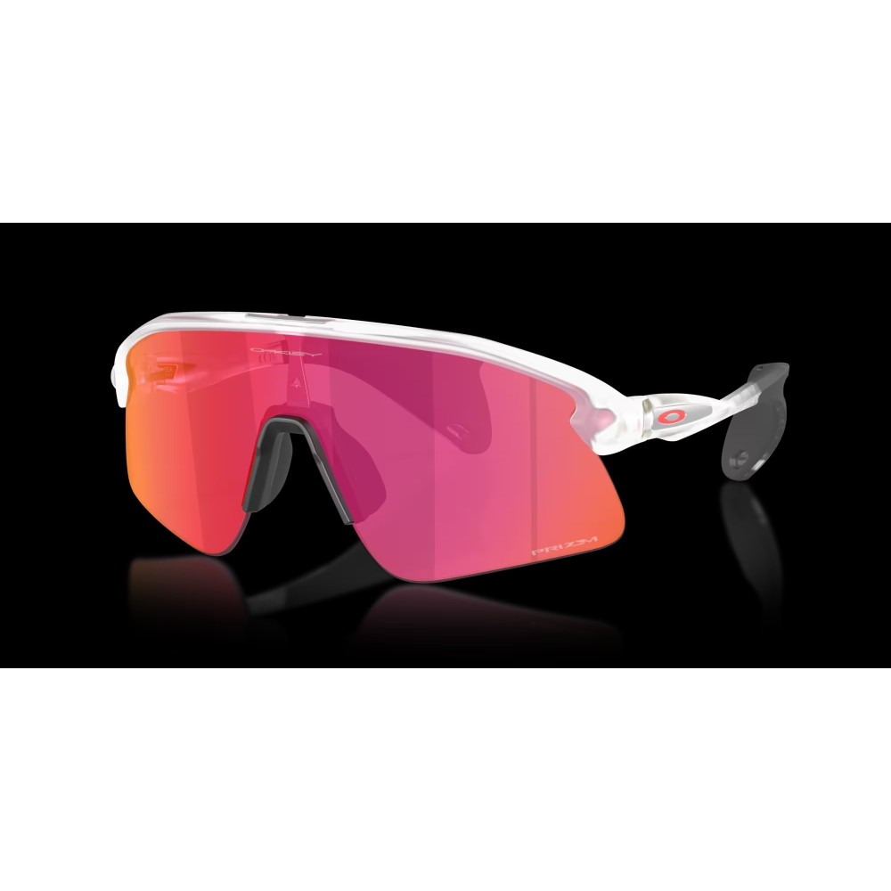 OAKLEY OCCHIALE STUNT DEVIL Lente prizm field ,...